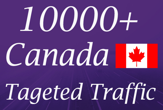 Canada Website Traffic From Search Engines for Beginners