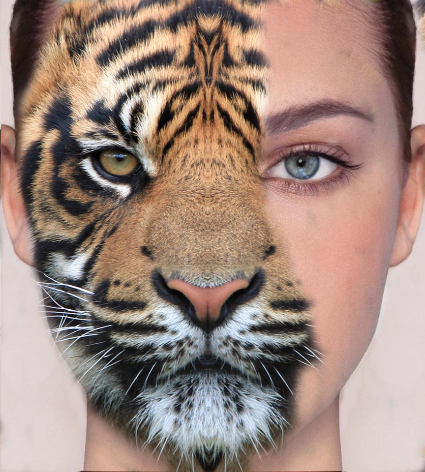 Картинки лиц животных. Лицо тигра. Тигрица лицо. Лицо наполовину животное. Тигрица на половину лица.