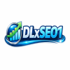 DlxSEO1