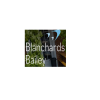 blanchards