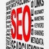 SEOExpert2013