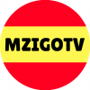 mzigotz93