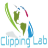 Clippinglab13