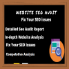 WebsiteSeoAudit