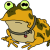 CryptoToad