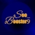 seobooster9