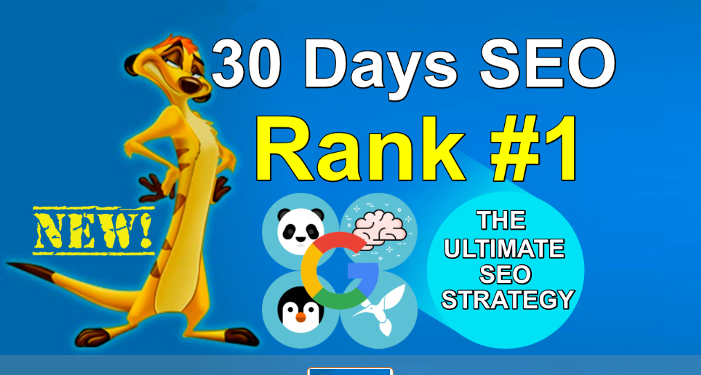 Daily Manual DA50+ High Authority Backlinks Building = Rank #1