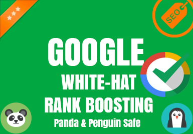 Google WHITE HAT Rank Boosting Package - 10 Days Manual SEO