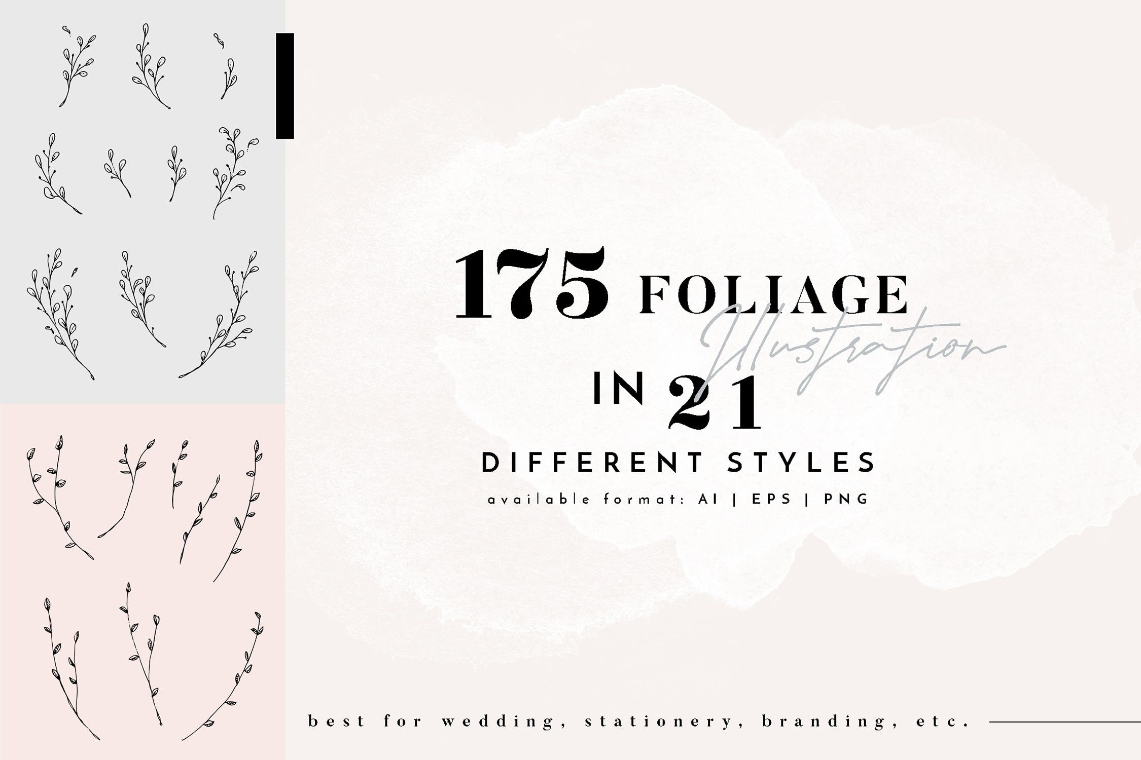 150 Floral Outline Illustration & Logo Pack with FULL rights