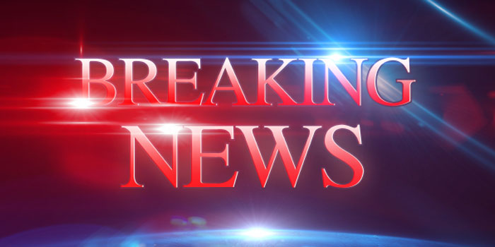 Write and Distribute Professional & Exciting Press Release For You