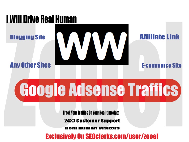 1000+ Real Human WW Traffics/Visitors (Google Analytics) -Best For Google Ranking