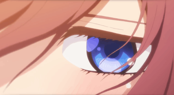Mass Anime Downloader Access Key - 5GB Proxy Bandwidth