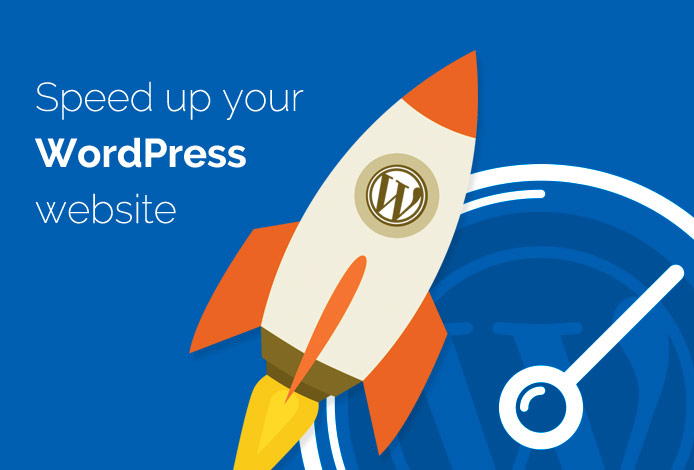 Fully optimize WordPress SEO, WordPress Security and Speed Optimization