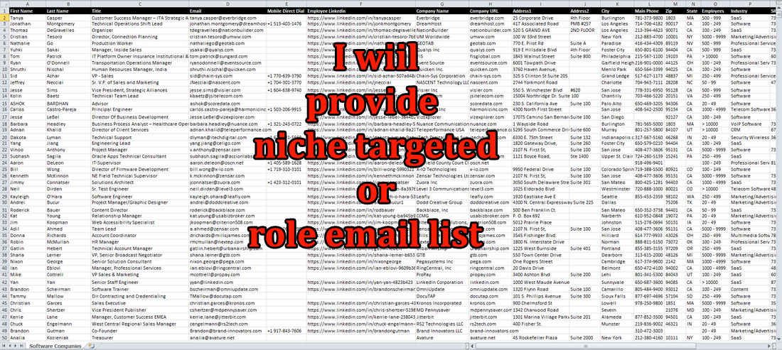 I will do linkedin lead generation and build email lists