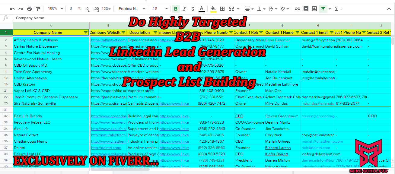 I will do linkedin lead generation and build email lists