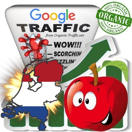 Dutch Search Traffic from Google.nl with your Keywords