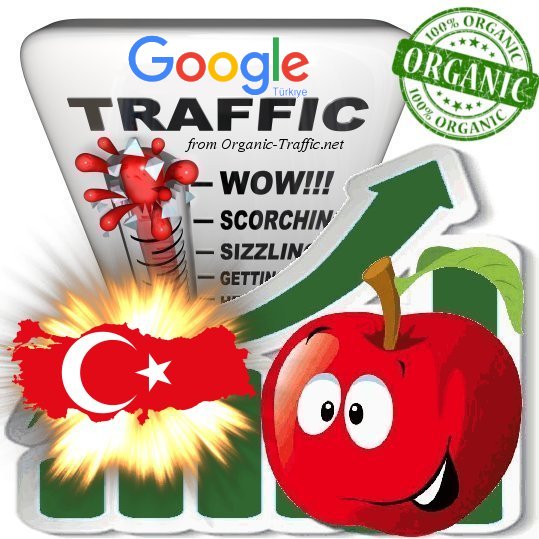 Turkish Search Traffic from Google.com.tr (Turkey) with your Keyword