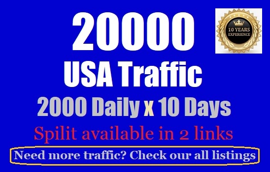 20000 USA Web Traffic for 10 days