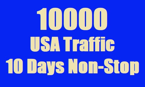 10000 USA Web Traffic for 10 days