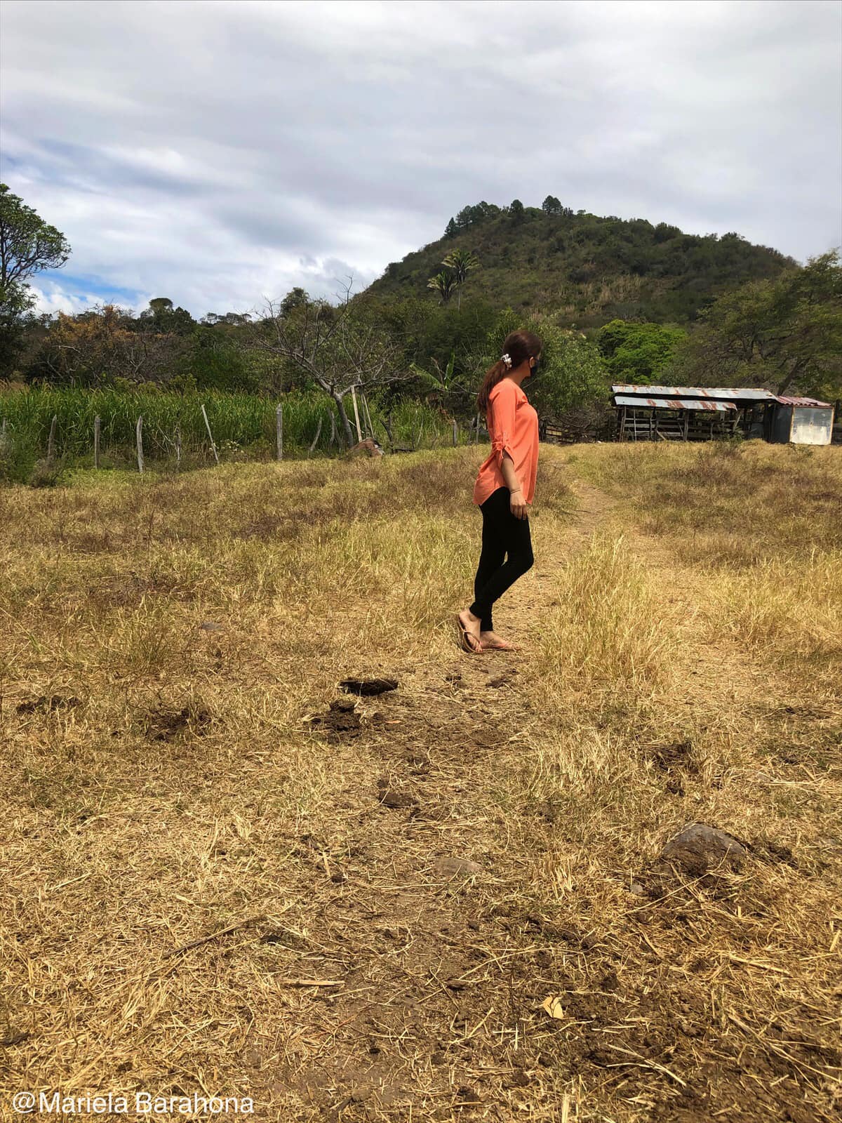 fix or develop any php,laravel,wordpress website