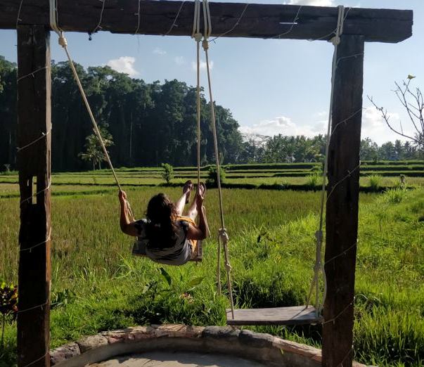 create 30000 backlinks to your providing domain 