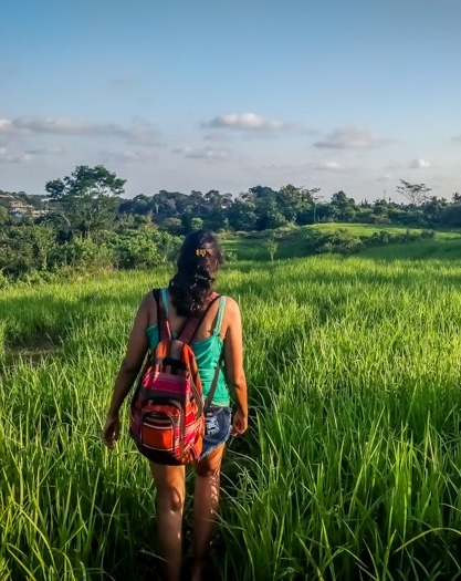 Instant resolve WordPress related issue or question 