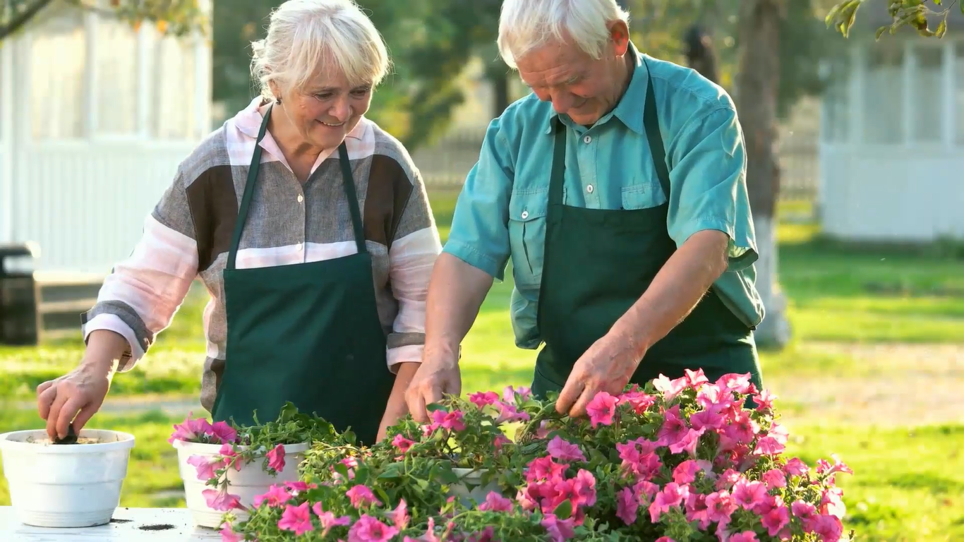 I will Create a Live Action Video with Script and Voice