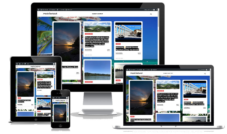 I Will Sell A Fully Automated Website That Is Adsense Ready