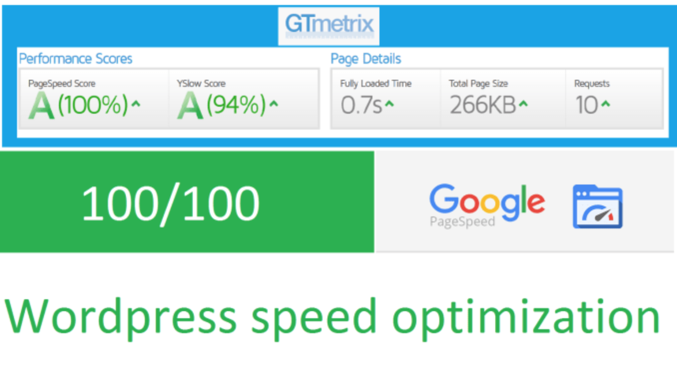 WordPress speed optimization and SEO support 