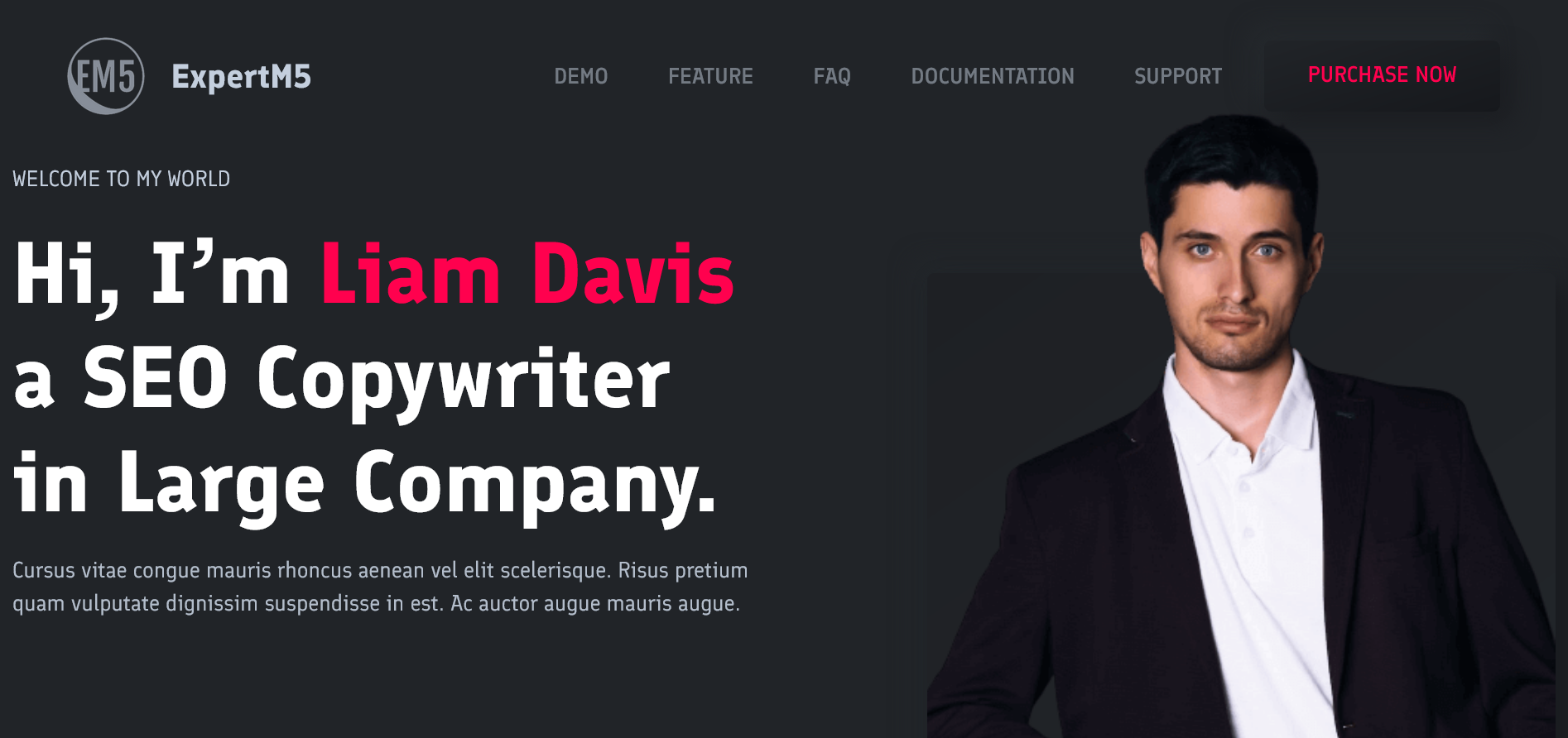 I will make a professional website for your business