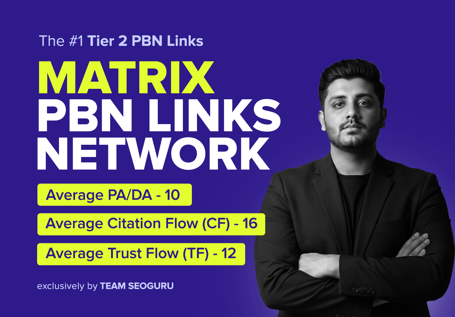 MATRIX PBN Network - 250 PBN Posts - The Best Tier 2 PBN Links