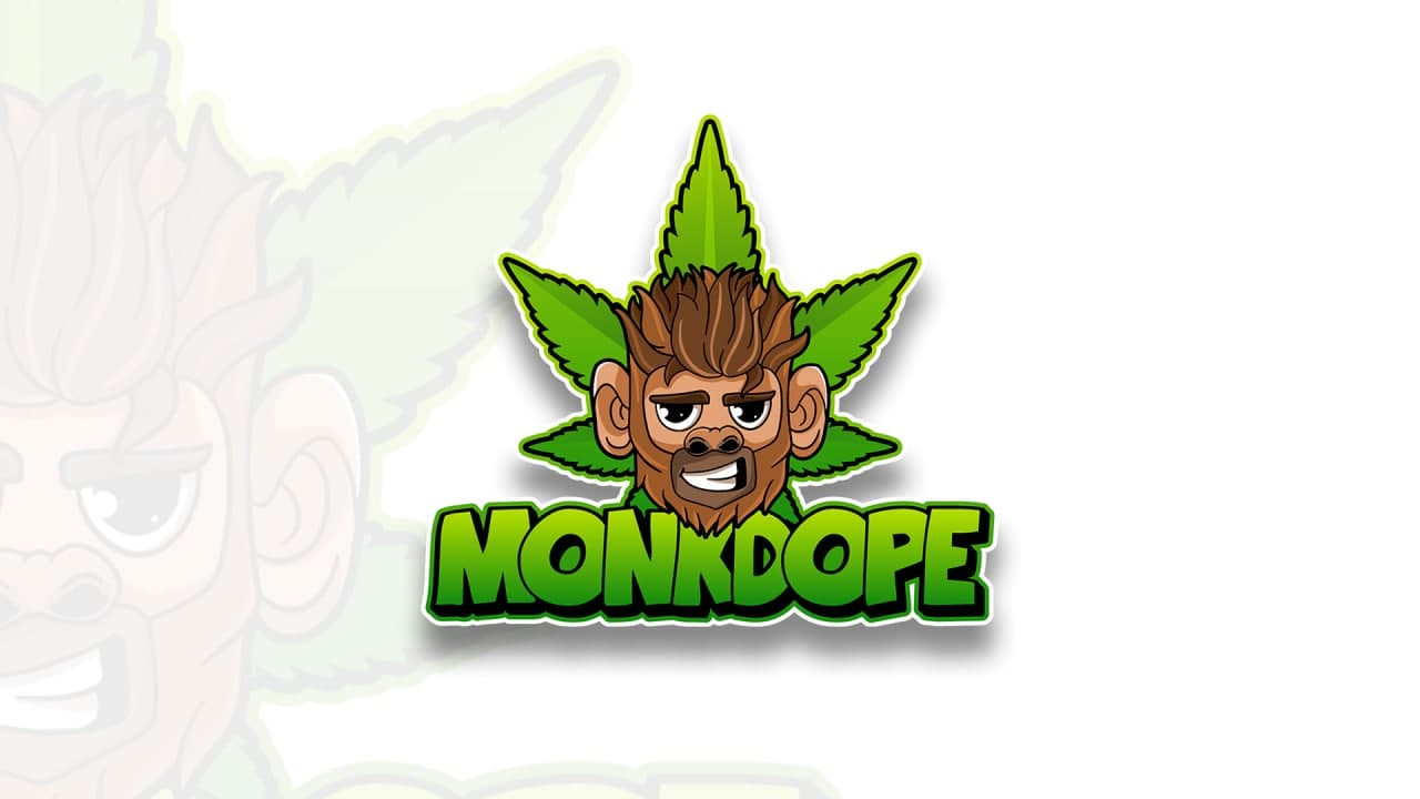 I Will Design a Professional Mascot Logo in 1 day or less