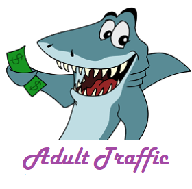 Provide 6000 Targeted Adult Website Traffic Visitors
