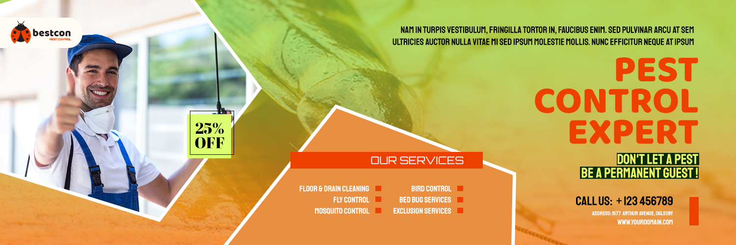 I Will Design Facebook Covers, LinkedIn Covers, X Twitter Headers, Instagram Feeds