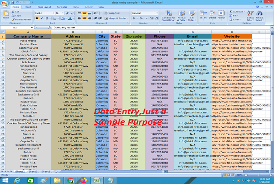 I will give you data entry, your data collection,copy paste,excel data entry in one day