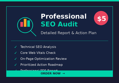 I will do a professional SEO audit with detailed report and action plan