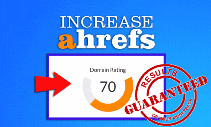 I will Increase Domain Rating Dr 70+ And DA 50+ URL Rating 80+ TF 30+ Great Offer