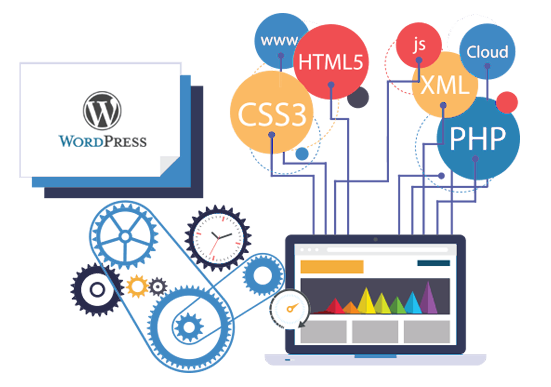 Design Develop Professional Wordpress Sites
