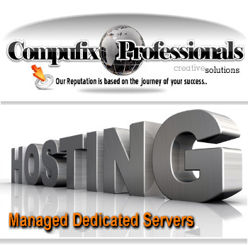 US (multi-lingual) Business Web Hosting (USA)