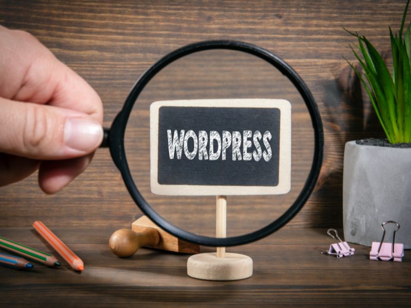 Comprehensive WordPress Design and Development and SEO Service