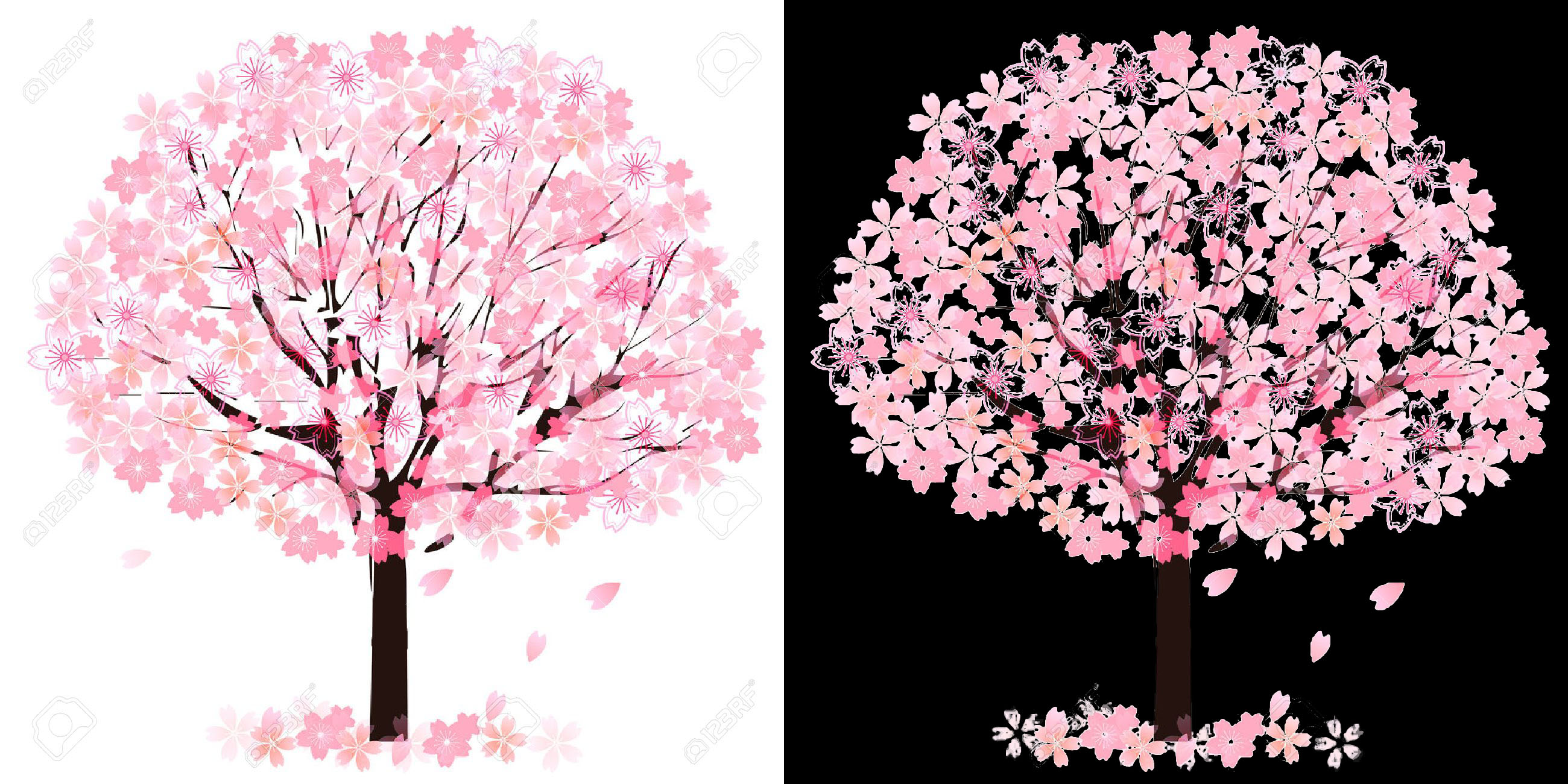 I will remove 4 images background