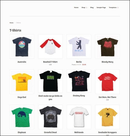 I will create a professional and clean eCommerce website 