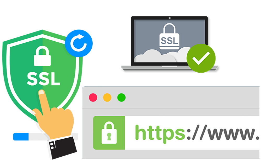 Ssl checker. SSL. SSL Certificate. Типы SSL сертификатов. SSL картинка.