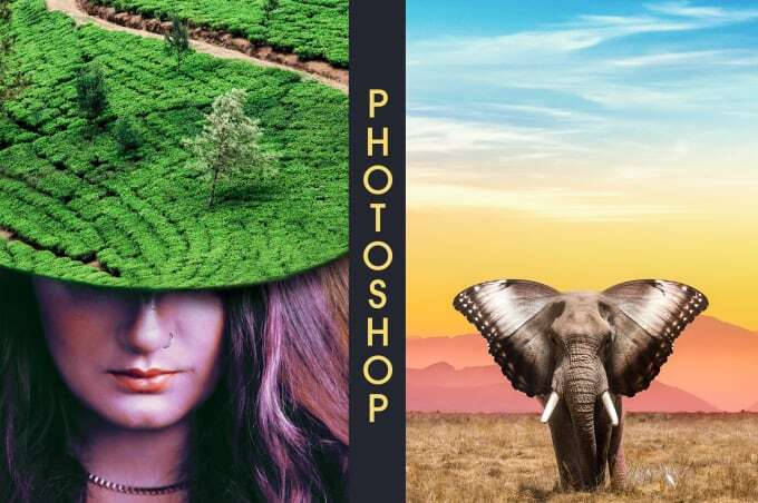 I will do any PS editing , background removing ,retouching and etc