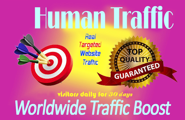 Unlimited Targeted Organic Human Traffic by Google YouTube Twitter or Many More to Your Website/Blog