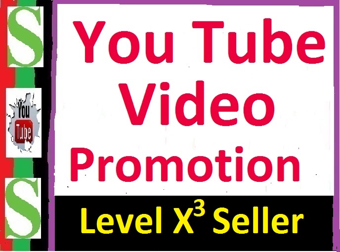 YOUTUBE VIDEO PROMOTE ORGANIC MARKETING 