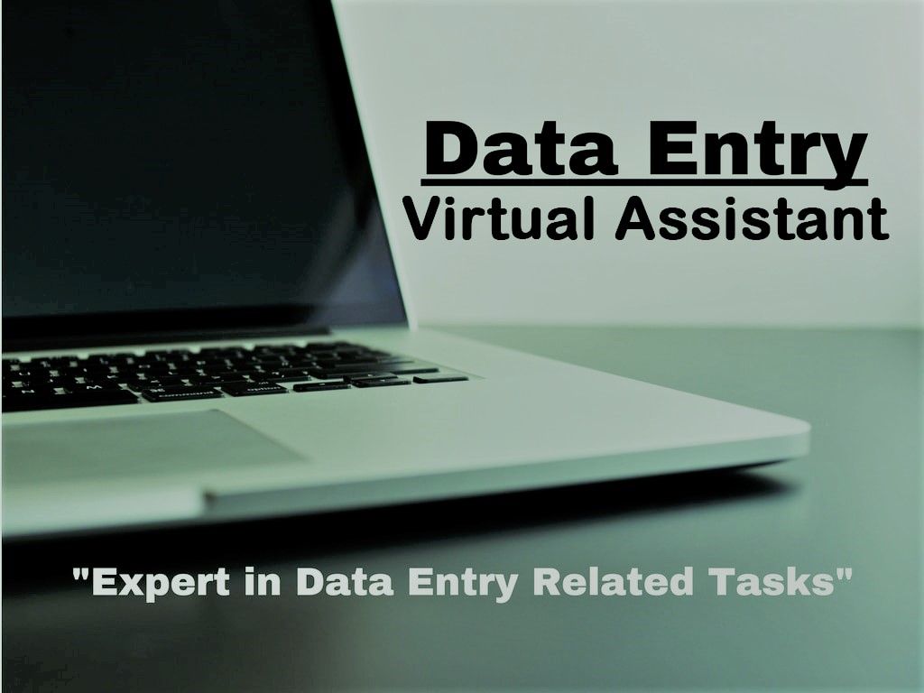 I will provide any Data Entry job