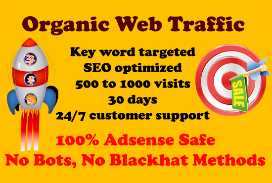 Daily 500+ organic key word targeted WEB TRAFFIC for 30 days