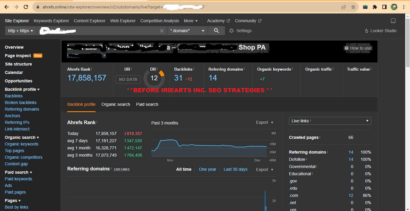 30 Days Google Top Ranking | Get 1500 DAILY Real Google Traffic 