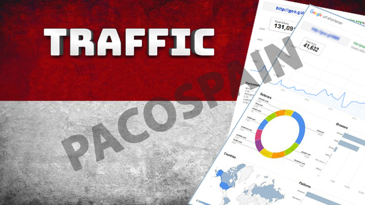 250 Indonesia Target Visitors for 30 Days with low bounce rate